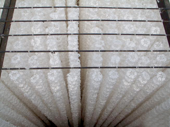 半軟性填料有什么特征？